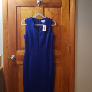 Royal Blue Calvin Klein